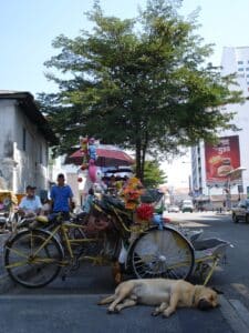 Dog sleeping in front of a rickshaw in George Town, Penang.