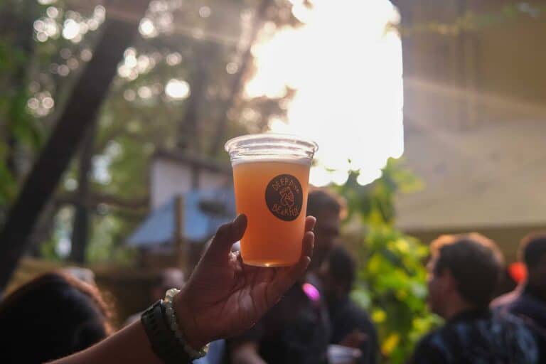 Beer-filled plastic cup adorning Deep Dive Beer Fest logo raised against the sunlight.