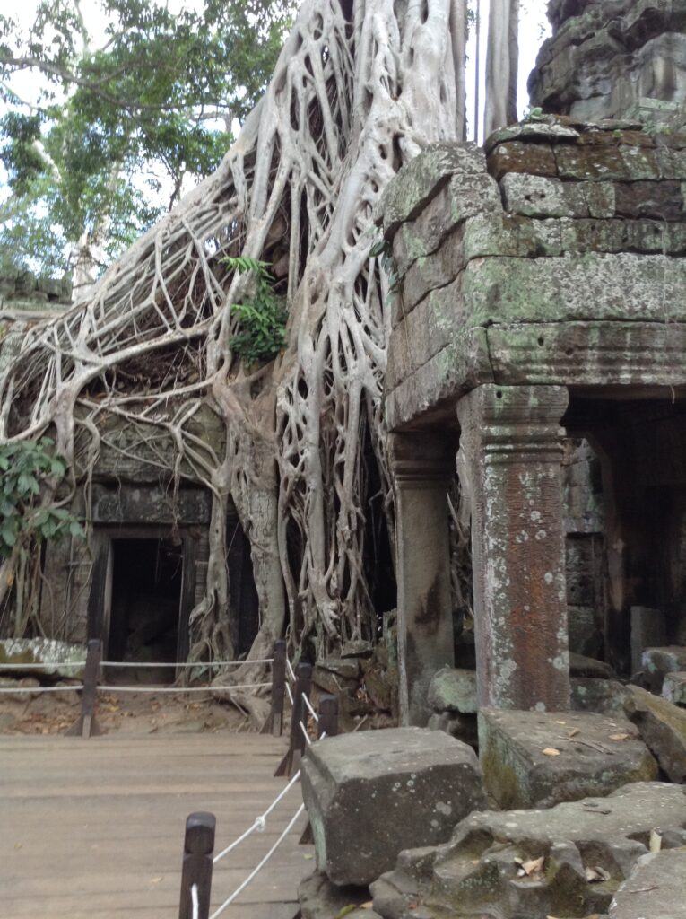 View of Ta Prohm Temple in Angkor Archaeological Park near Siem Reap, Cambodia.